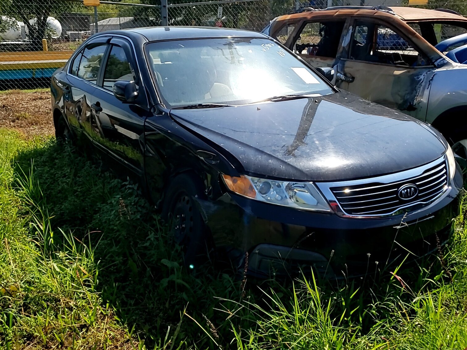 Image for September Impounds