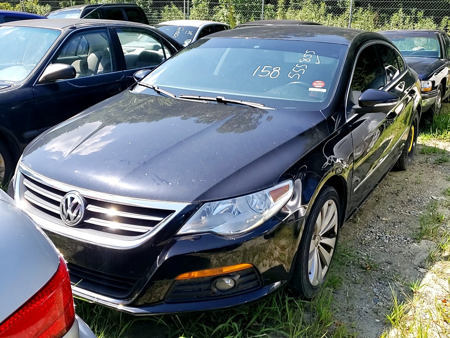 Image for September Impounds