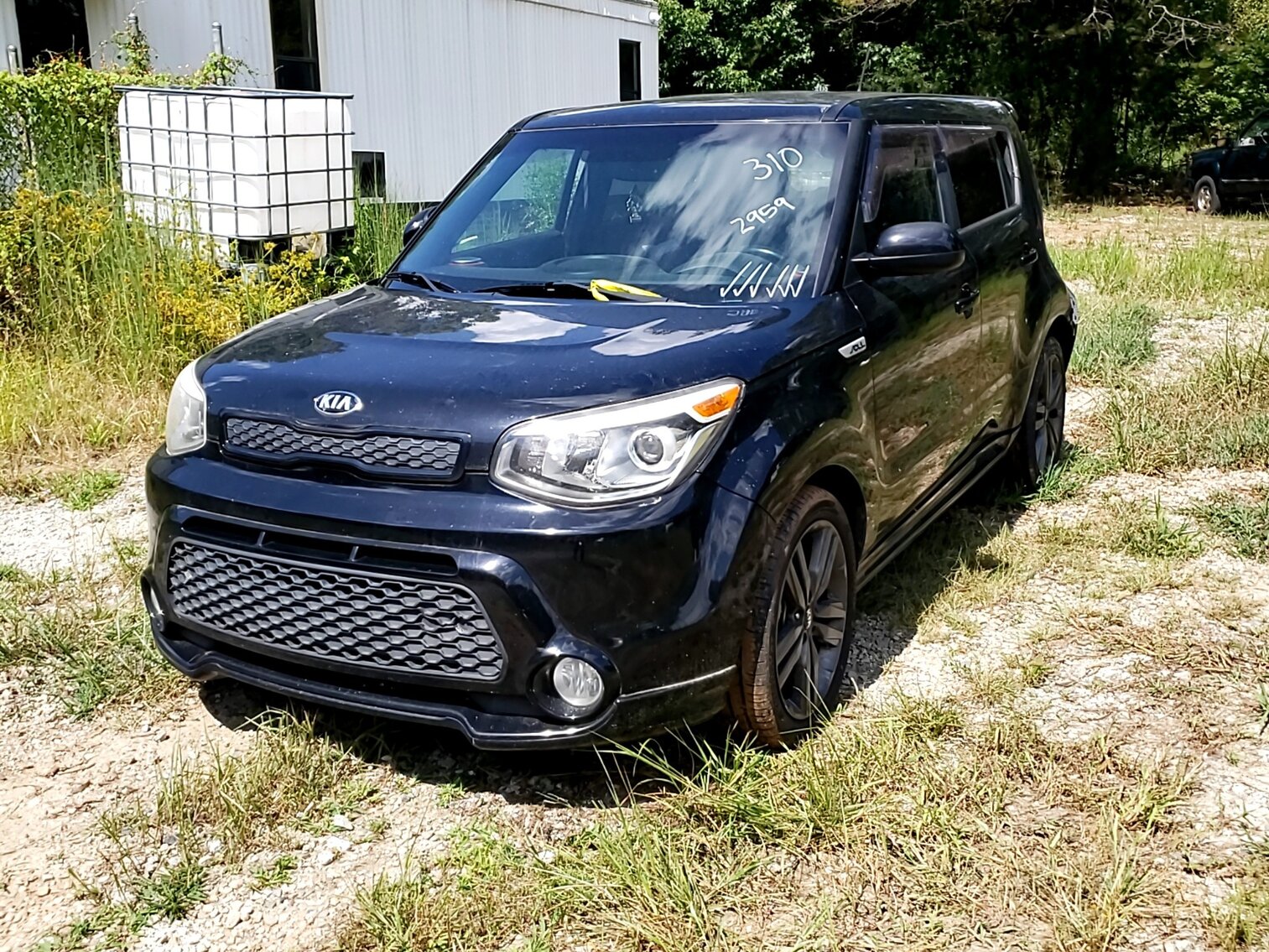 Image for September Impounds