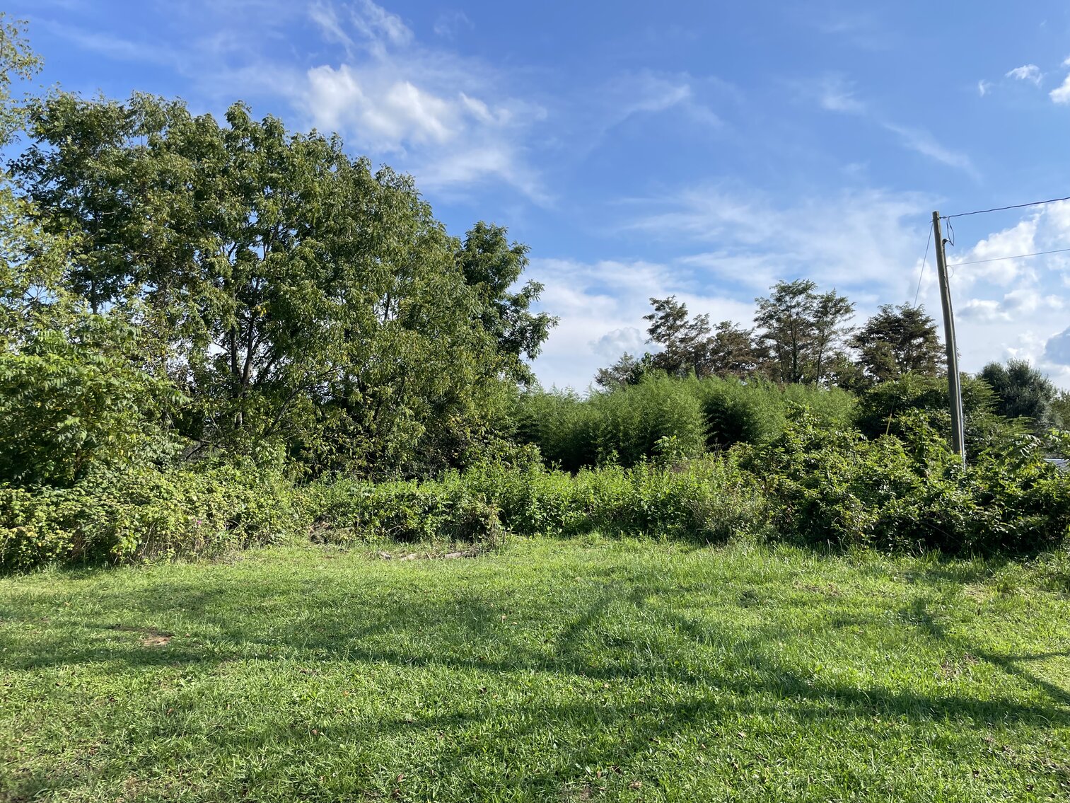 Image for THURSDAY * SEPTEMBER 8th 12 NOON