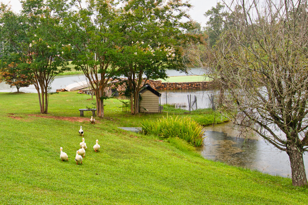Image for Exquisite Kent Rock Manor: Luxury Estate / Event Venue on 50± Acres, Atlanta Area, Georgia...SOLD
