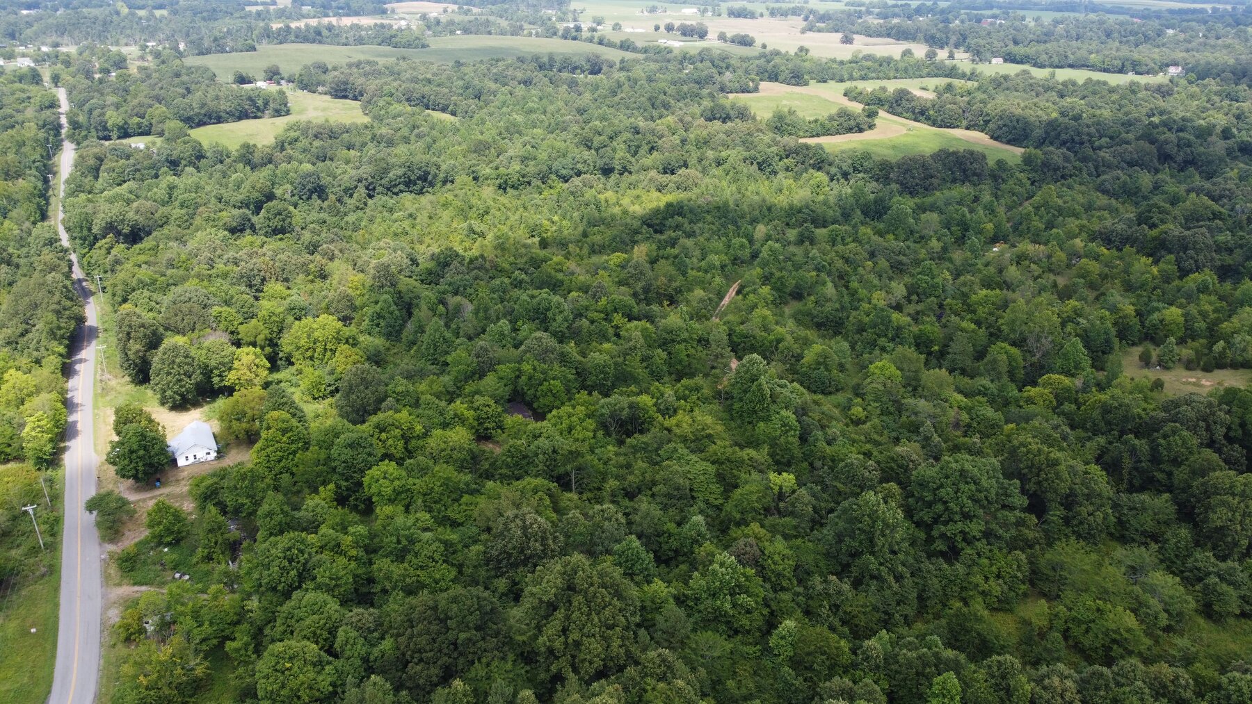 Image for ABSOLUTE ESTATE AUCTION 1066 BENTON BRIENSBURG ROAD BENTON, KY