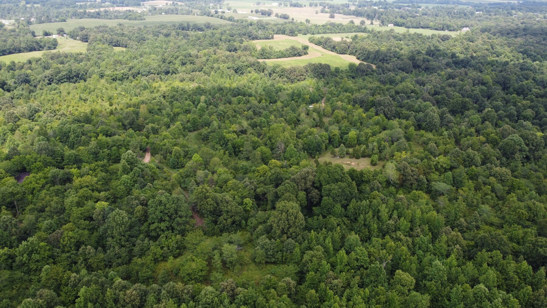 Image for ABSOLUTE ESTATE AUCTION 1066 BENTON BRIENSBURG ROAD BENTON, KY