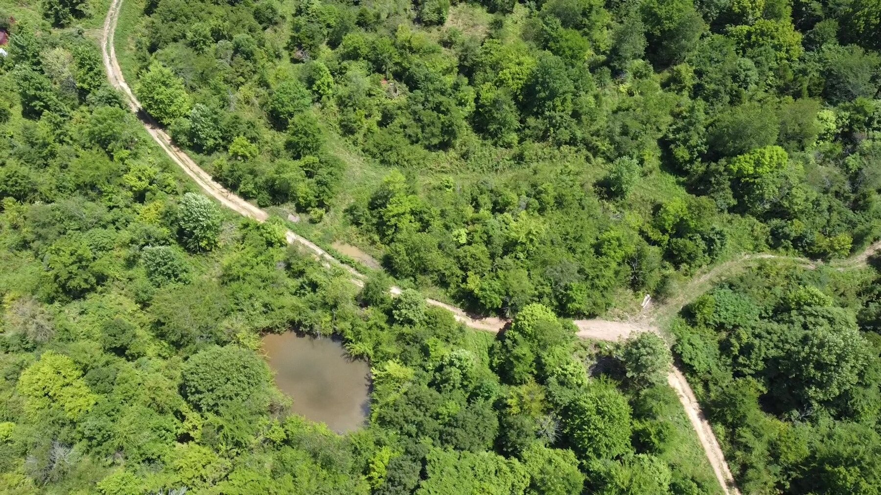 Image for ABSOLUTE ESTATE AUCTION 1066 BENTON BRIENSBURG ROAD BENTON, KY