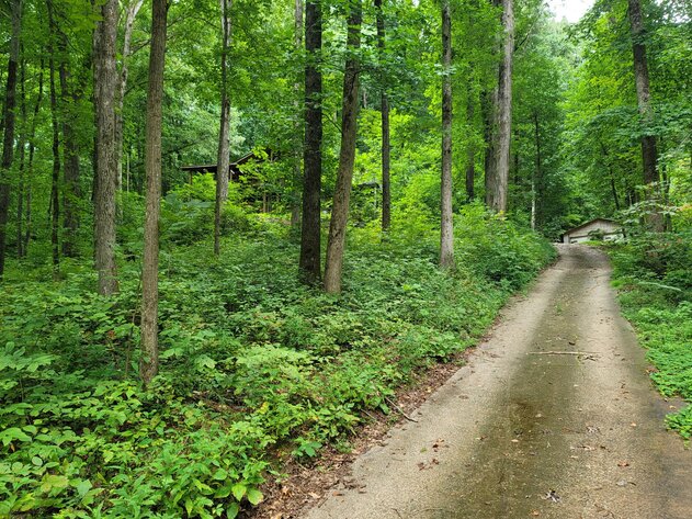 Image for Foreclosed Mountain Home with Acreage