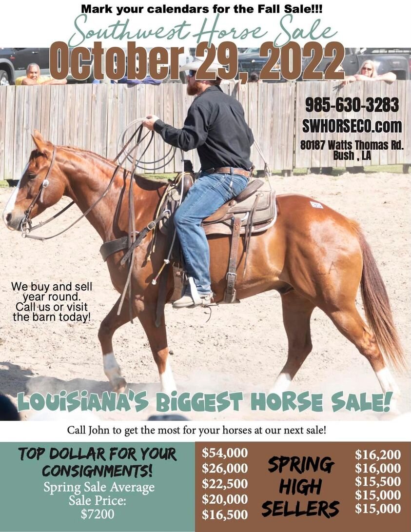 Image for Southwest Horse Sale Fall Sale - October 29th - Bush, Louisiana