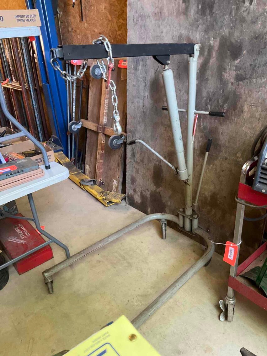 Image for Cathedral forest auction #1