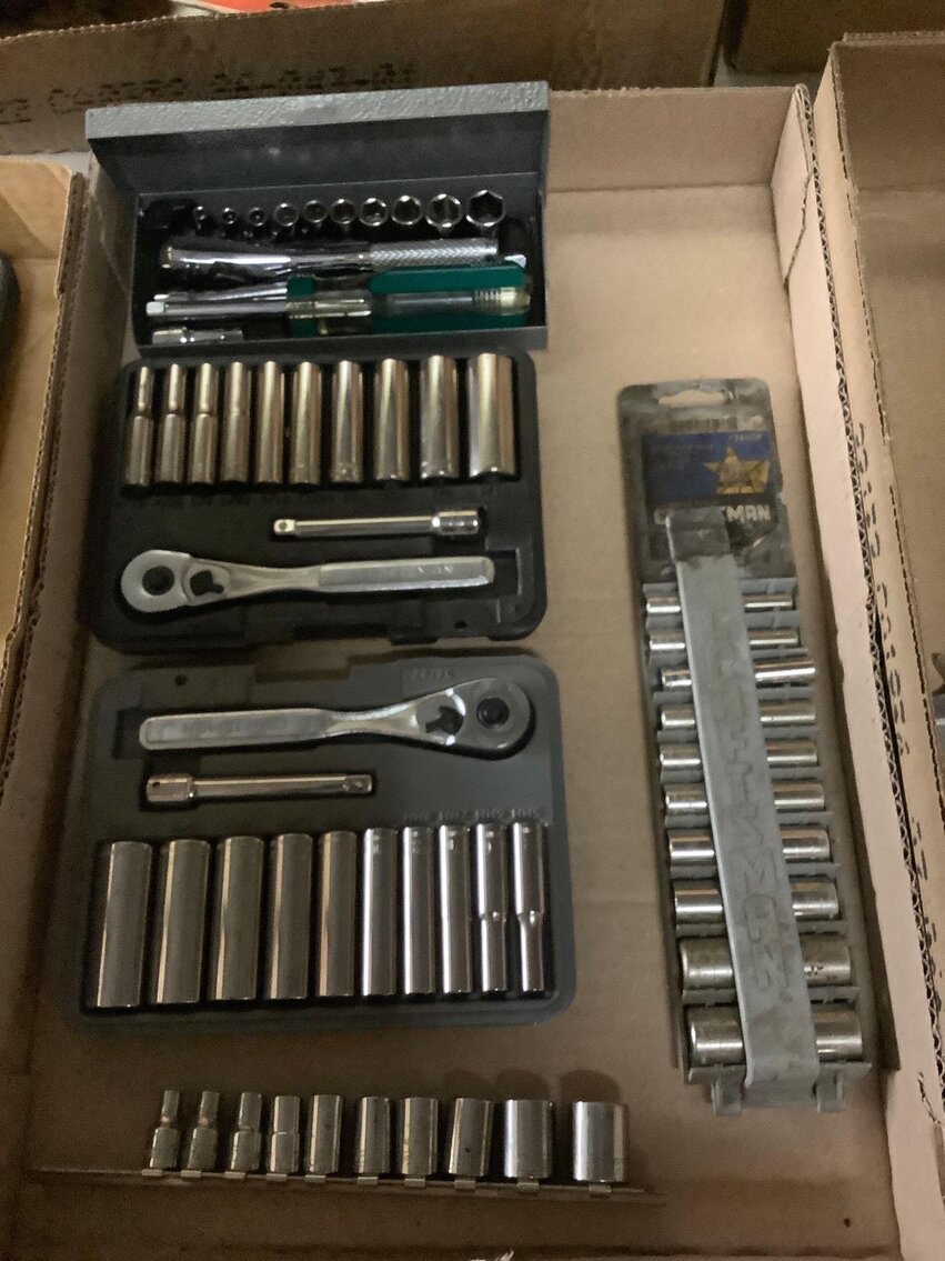 Image for Cathedral forest auction #1