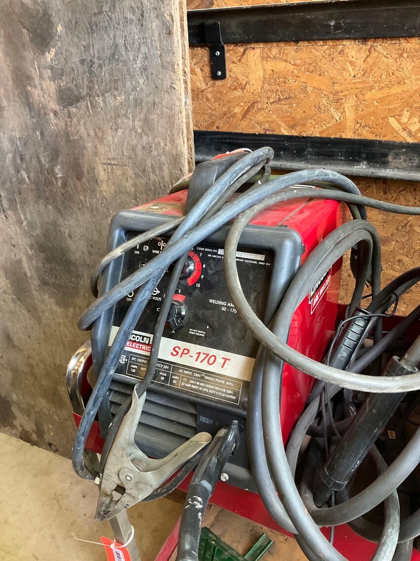 Image for Cathedral forest auction #1