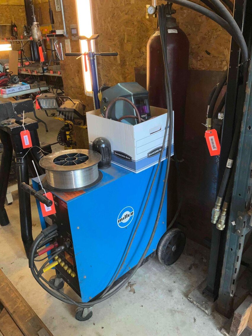 Image for Cathedral forest auction #1