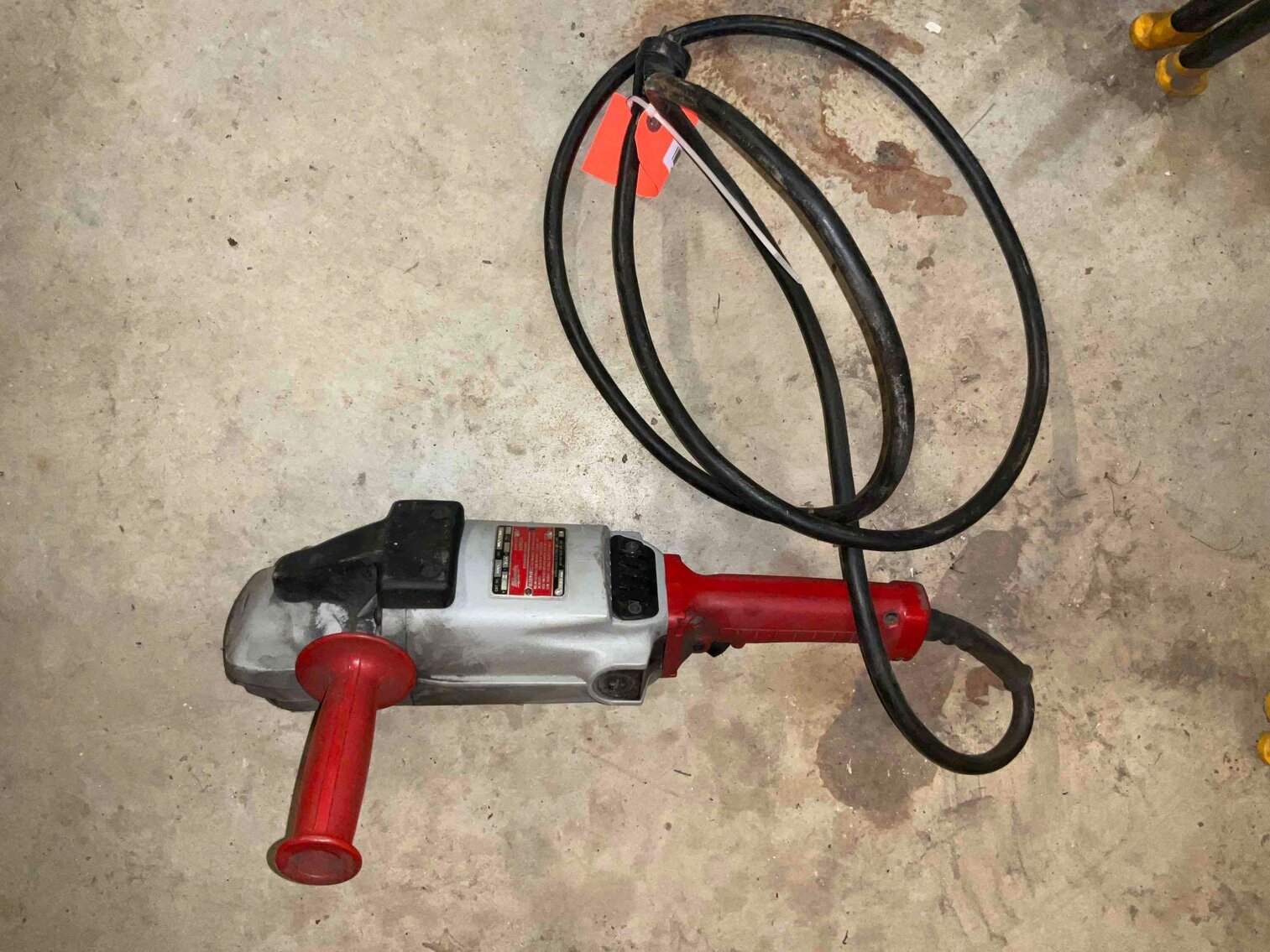 Image for Cathedral forest auction #1