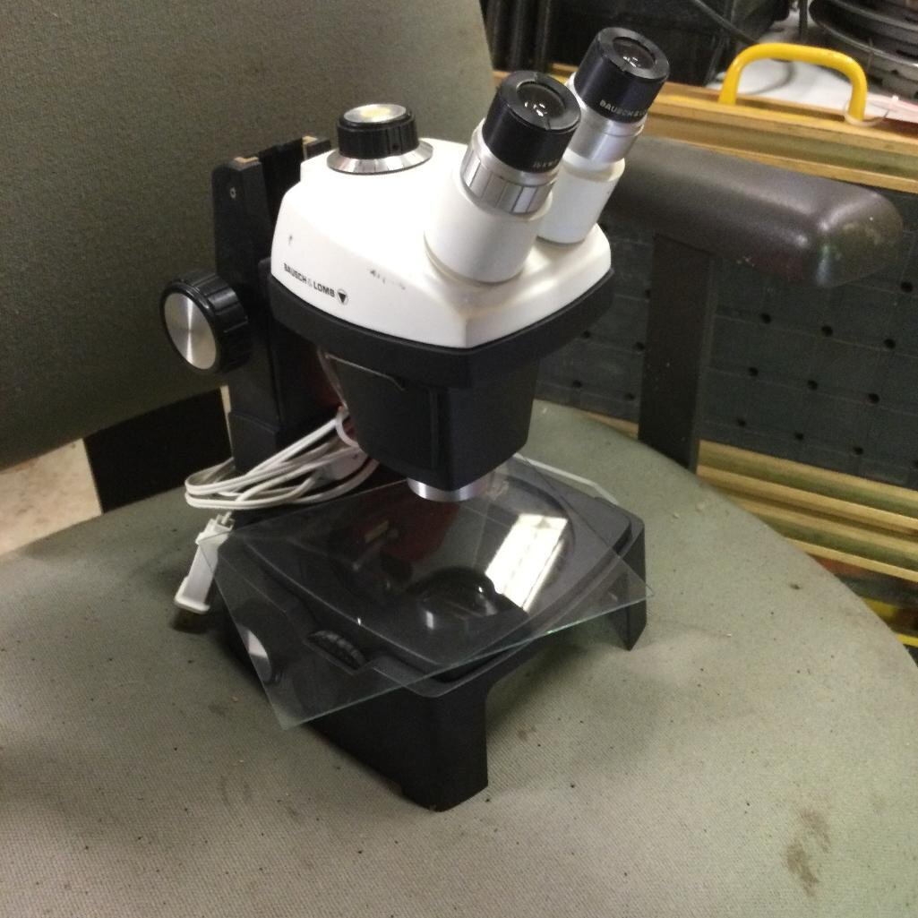 Image for Cathedral forest auction #1