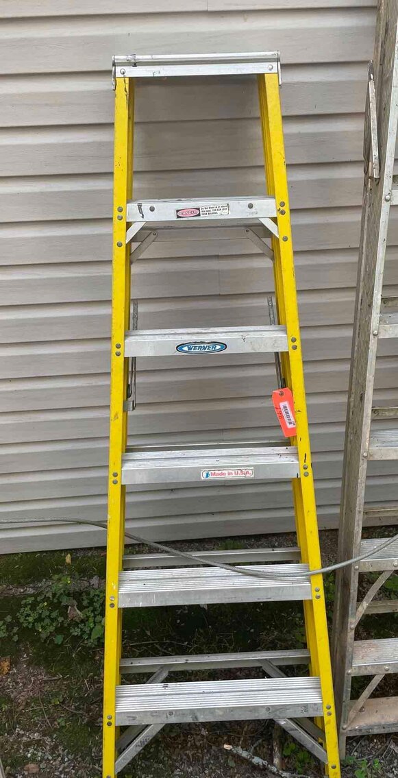 Image for Cathedral forest auction #1