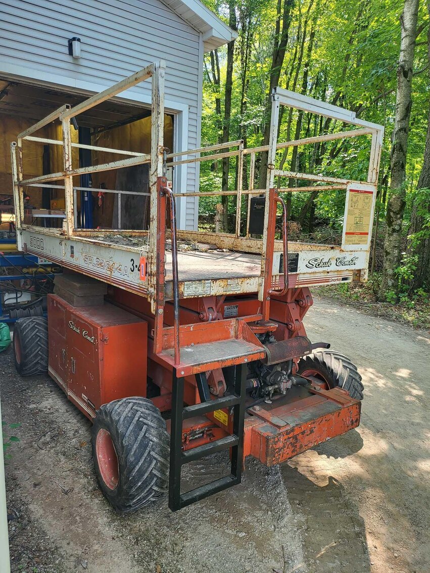 Image for Cathedral forest auction #1