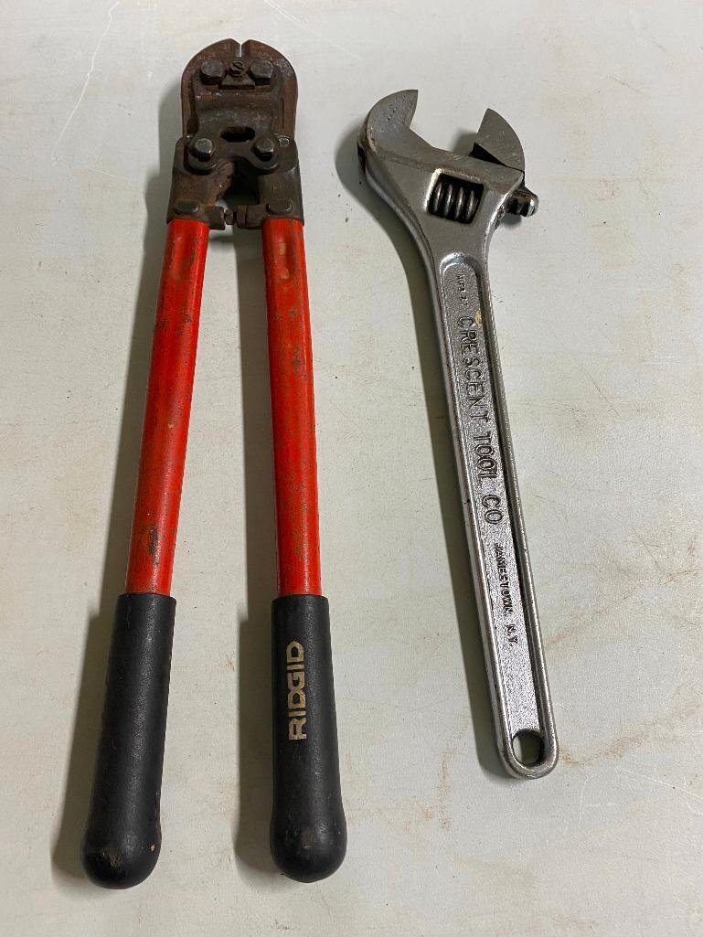 Image for Cathedral forest auction #1