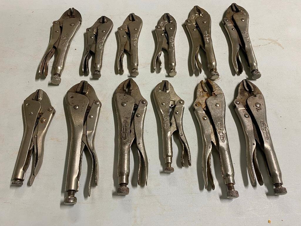 Image for Cathedral forest auction #1