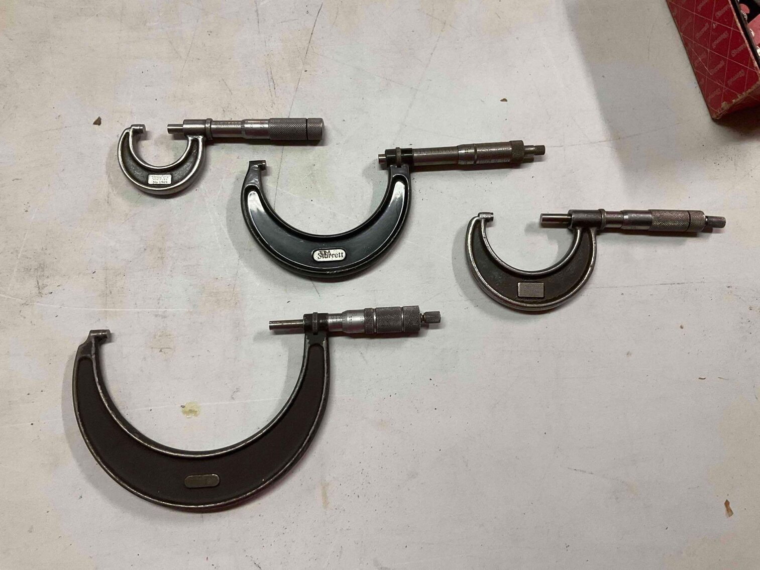 Image for Cathedral forest auction #1