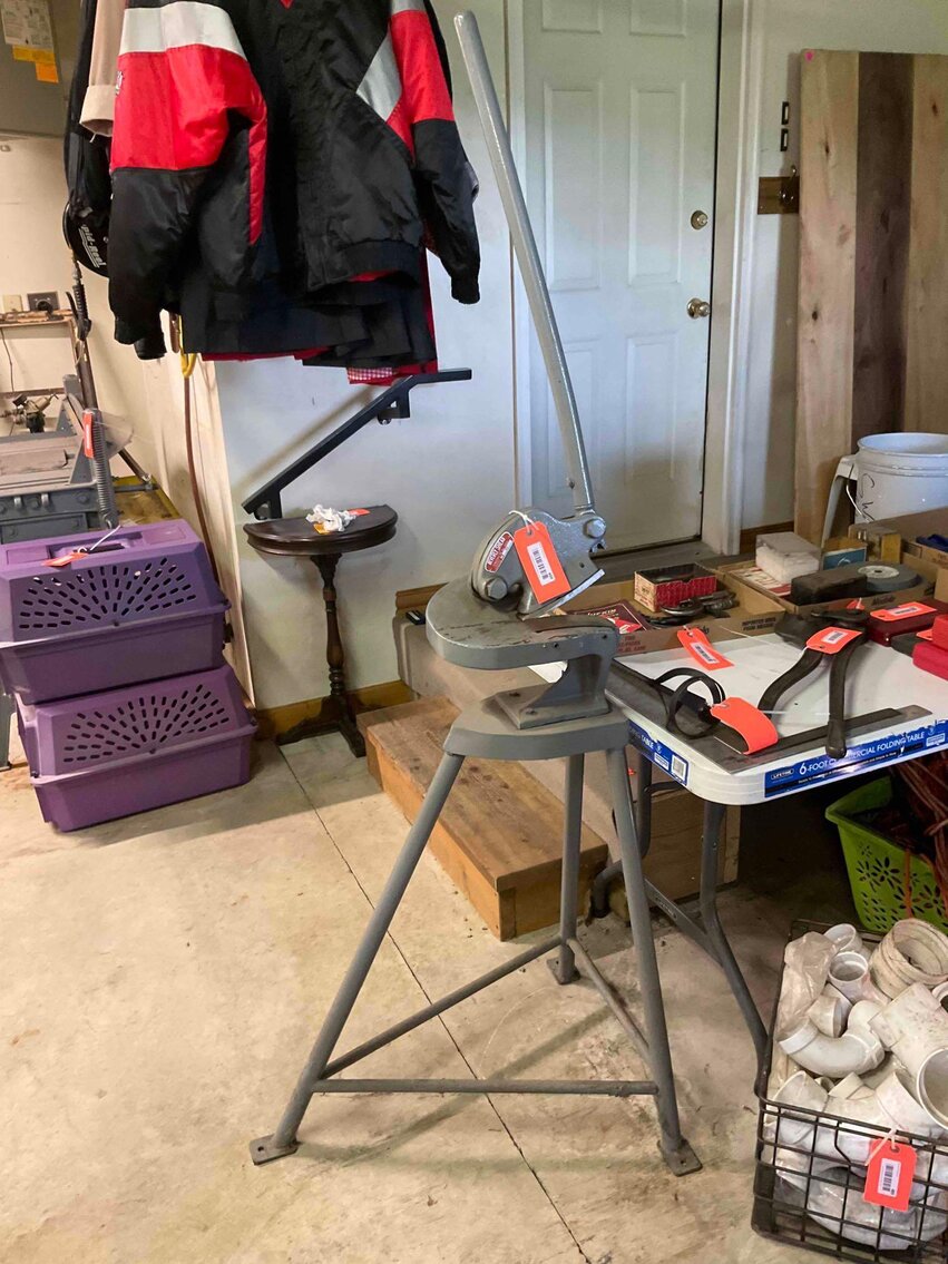 Image for Cathedral forest auction #1