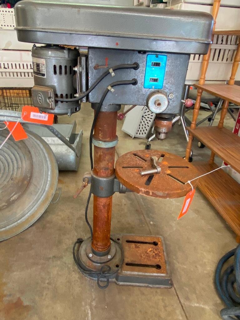 Image for Cathedral forest auction #1