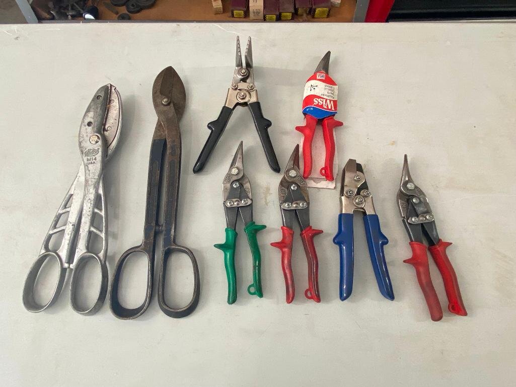 Image for Cathedral forest auction #1