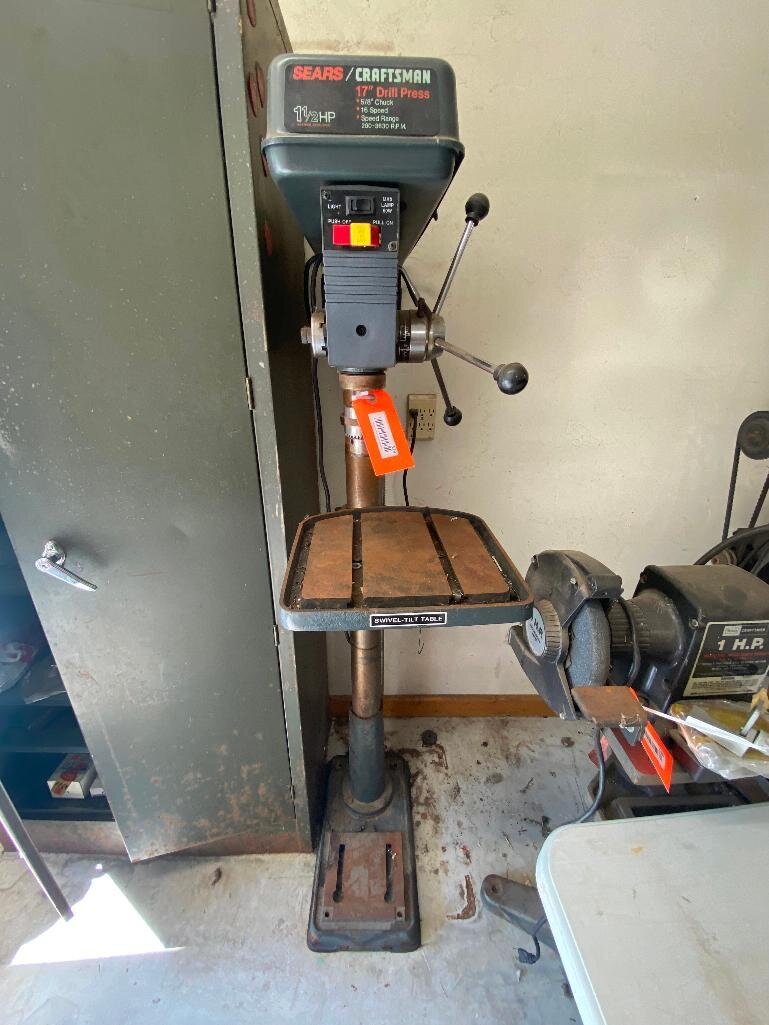 Image for Cathedral forest auction #1