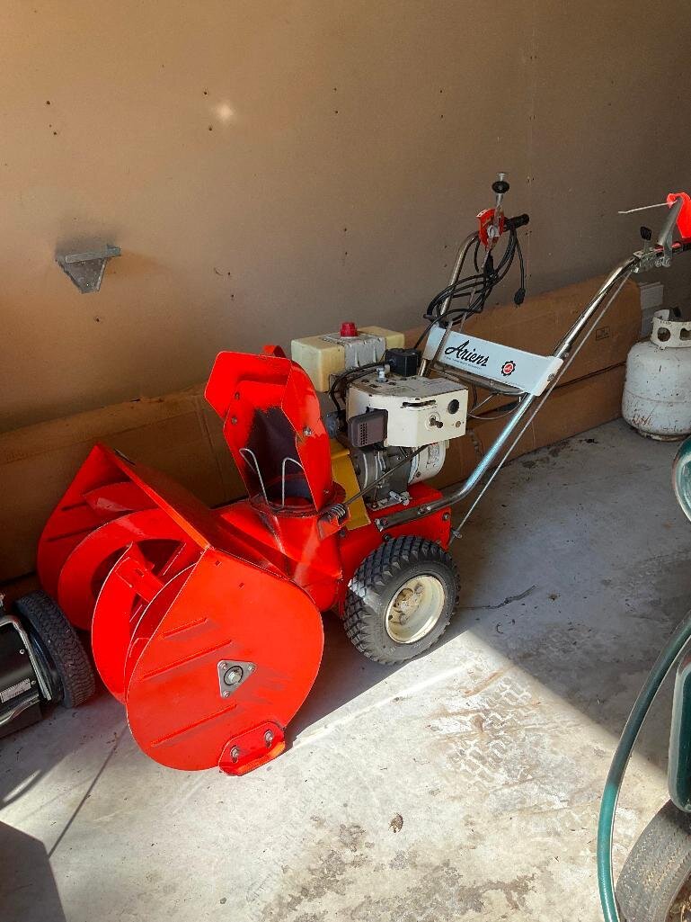 Image for Cathedral forest auction #1