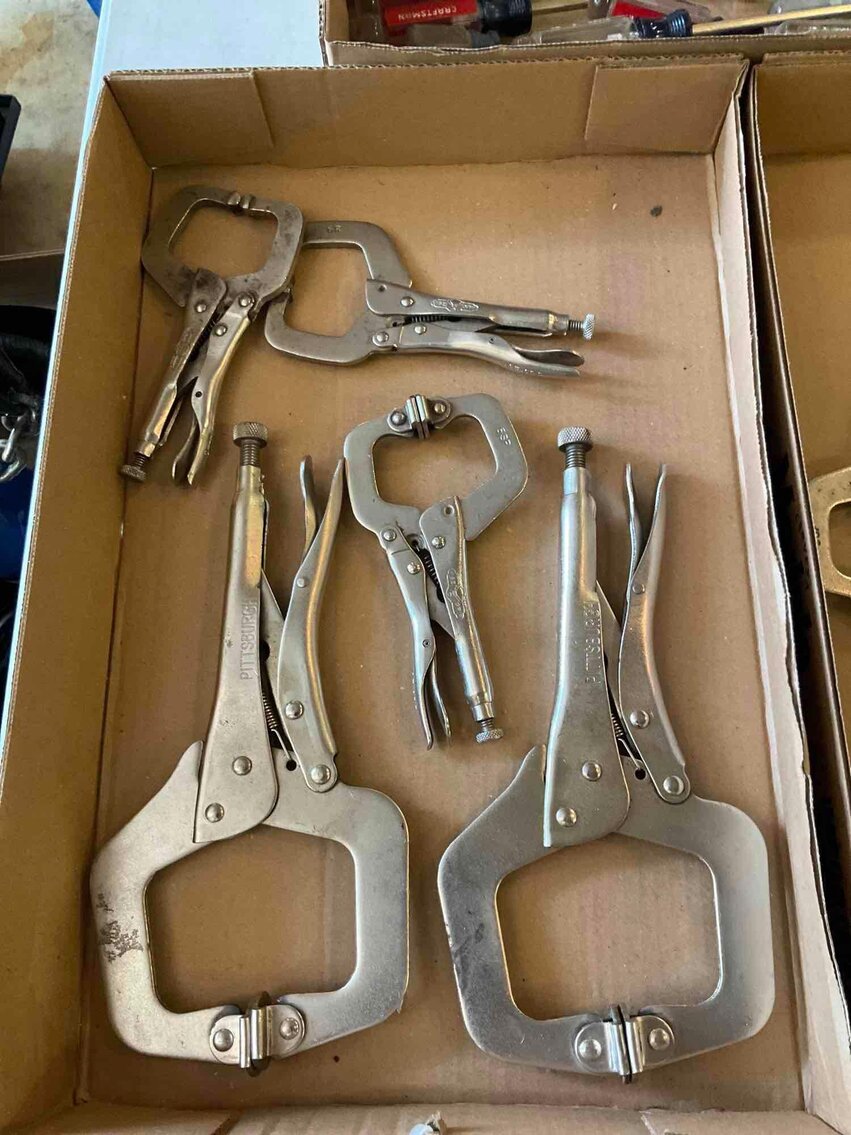 Image for Cathedral forest auction #1