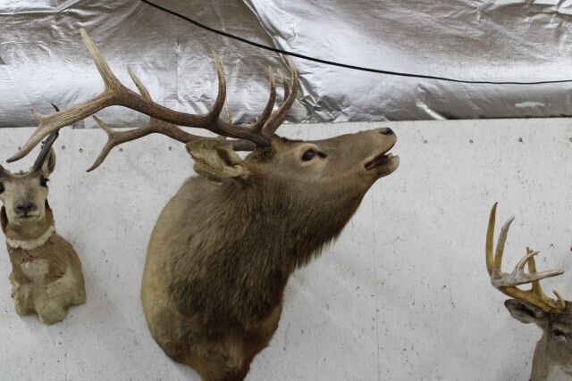 Image for TOOLS-FURNITURE-VEHICLES-COLLECTIBLES