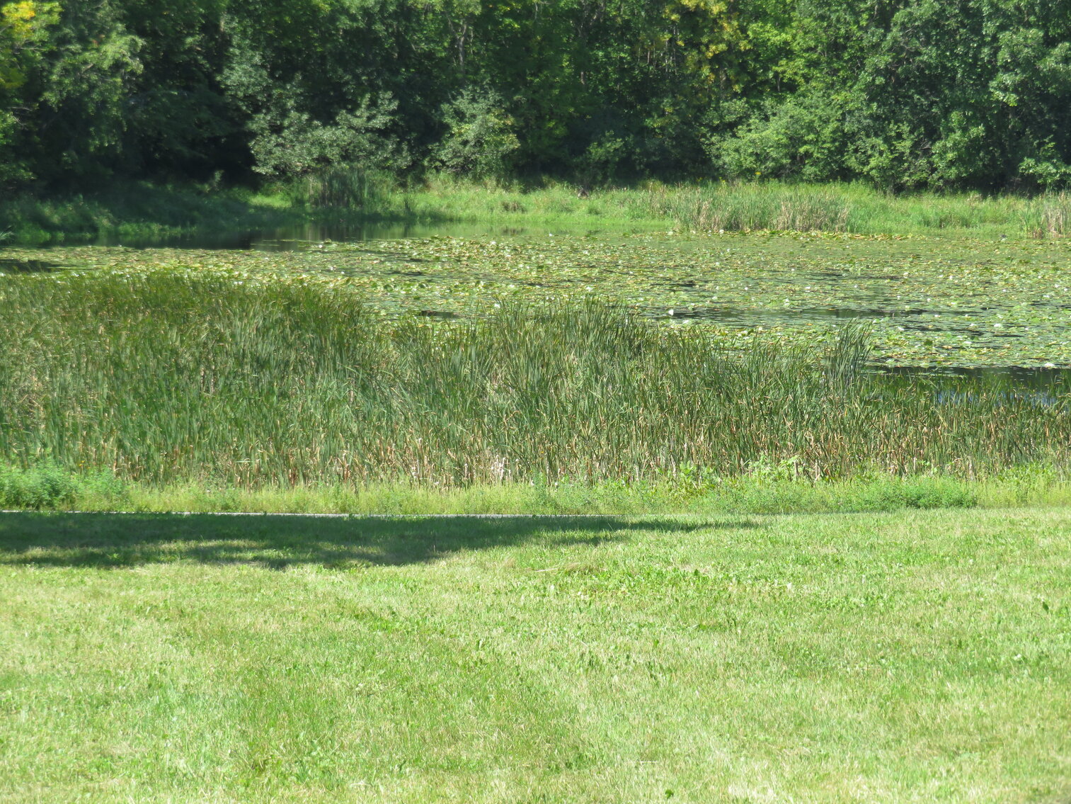 Image for Well-Kept Hobby Farm on 8+ Acres- Live & Online Real Estate Auction