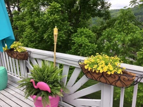 Image for CANCELLED Move-in Ready 4-Bedroom on a Large Lot