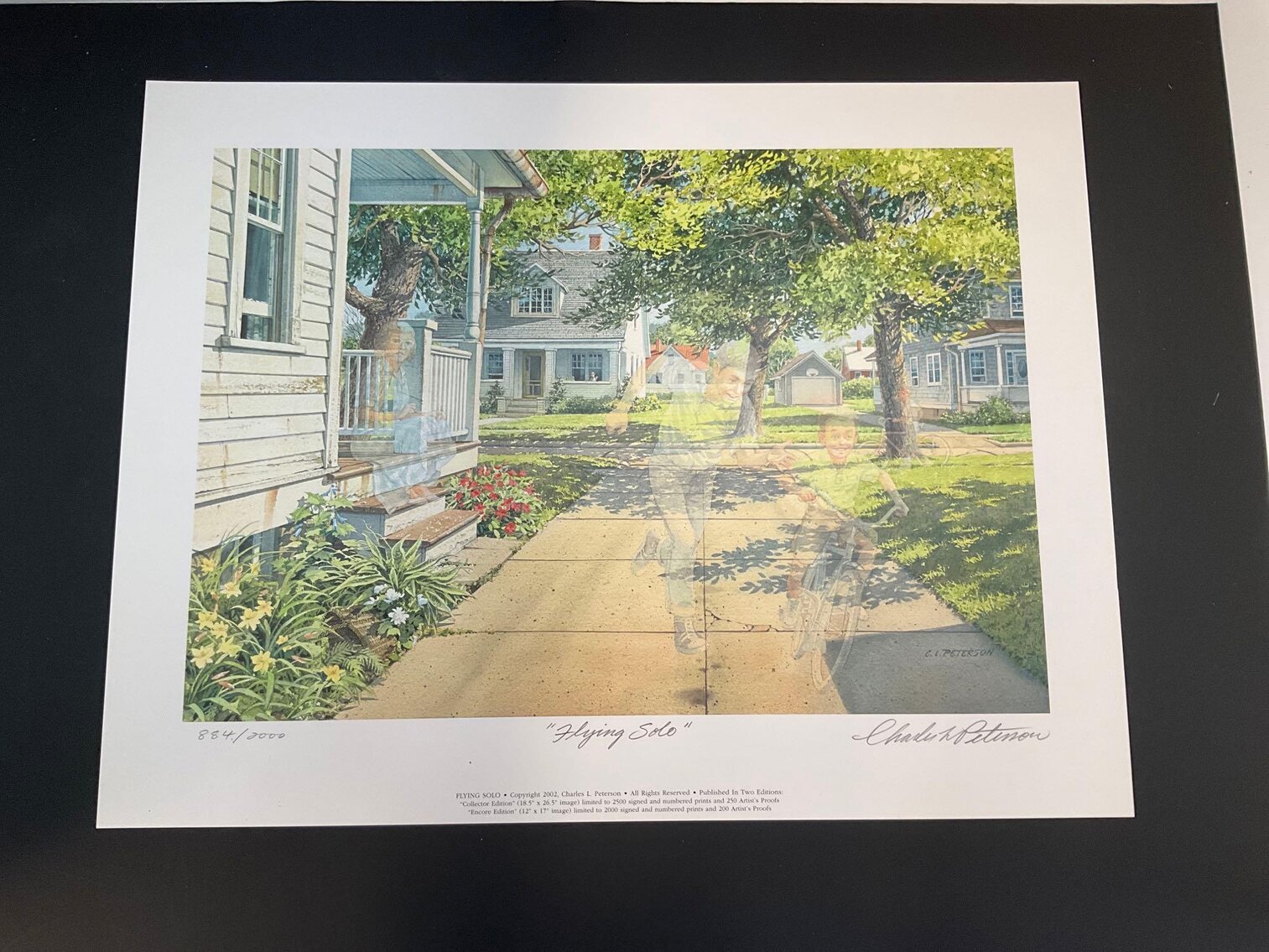 Image for Furniture, collectibles, household-Main front half