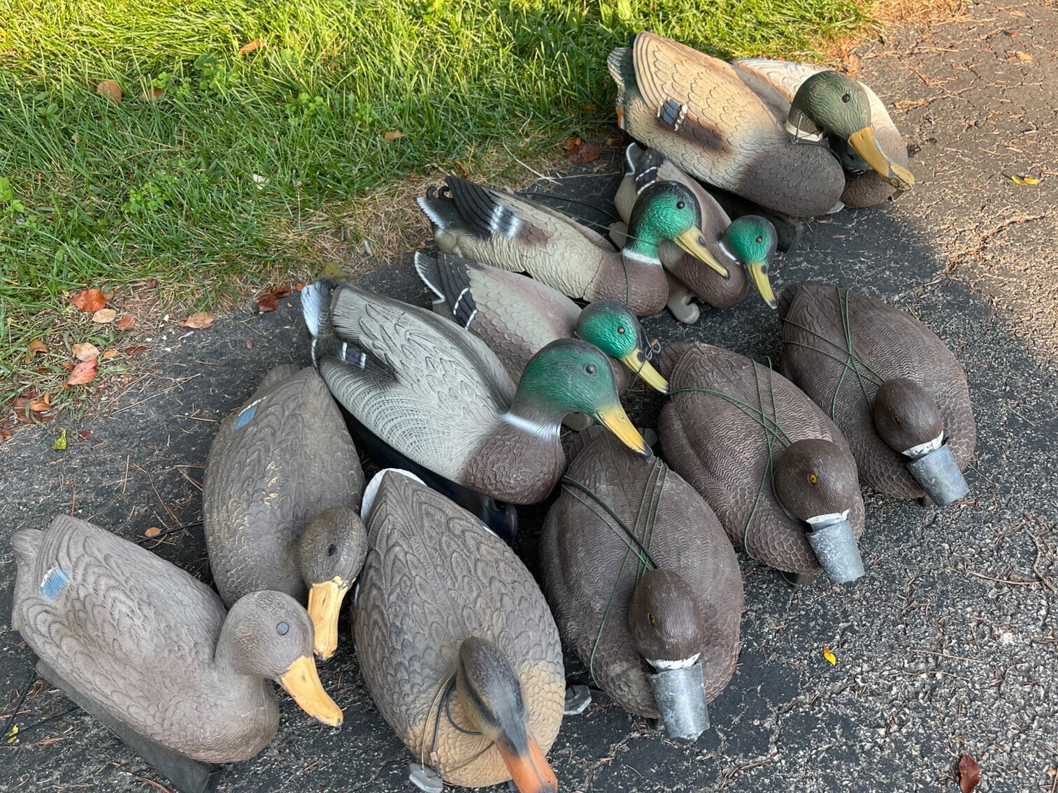 Image for Lindberg Estate