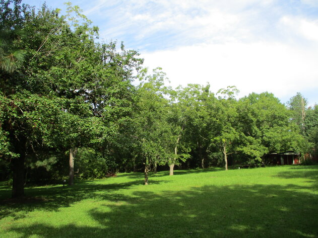 Image for LIVE AUCTION - Thursday, October 6, 2022 at 7:00 P.M.