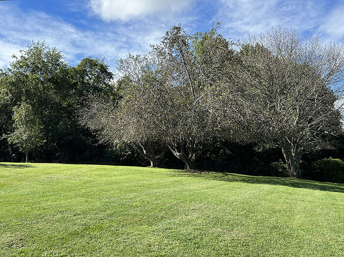 Image for SATURDAY, OCTOBER 1st * 10:00 AM