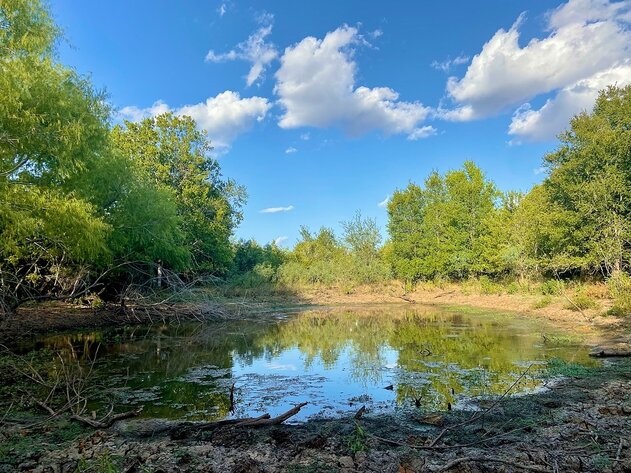 Image for Paige 78659 - 00 Grassyville Road