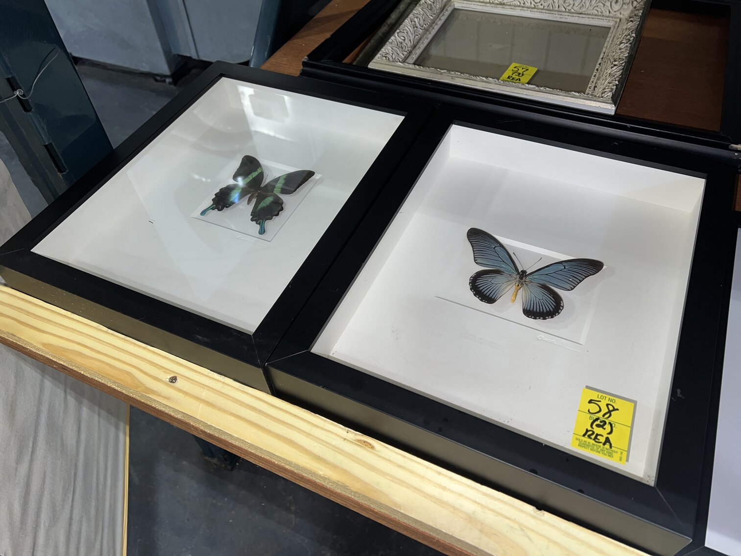 Image for FALL ONLINE ONLY AUCTION