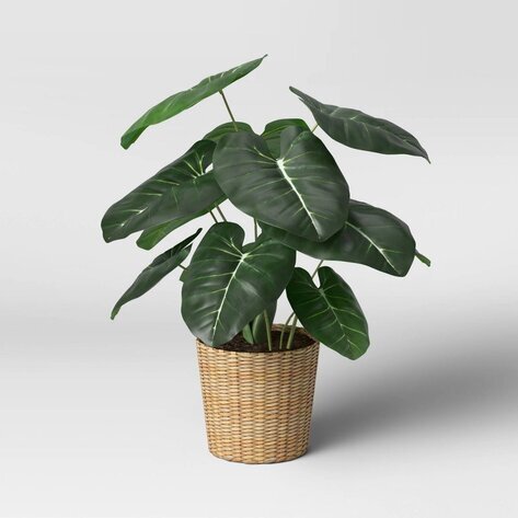 Image for Westlake Auction #6
