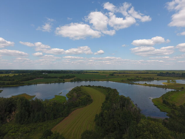 Image for LIVE AUCTION: Thursday, October 13, 2022 - Laurens County, GA