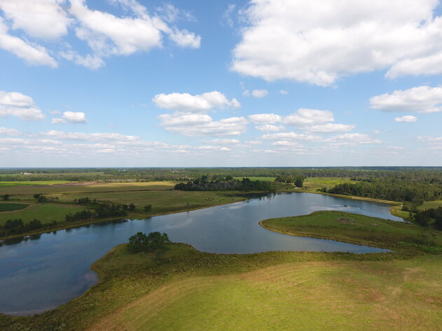 Image for LIVE AUCTION: Thursday, October 13, 2022 - Laurens County, GA