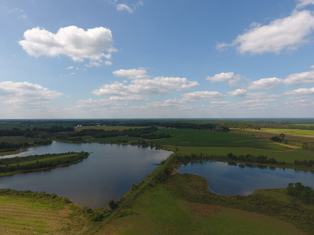 Image for LIVE AUCTION: Thursday, October 13, 2022 - Laurens County, GA