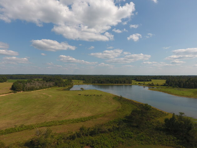 Image for LIVE AUCTION: Thursday, October 13, 2022 - Laurens County, GA