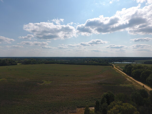 Image for LIVE AUCTION: Thursday, October 13, 2022 - Laurens County, GA