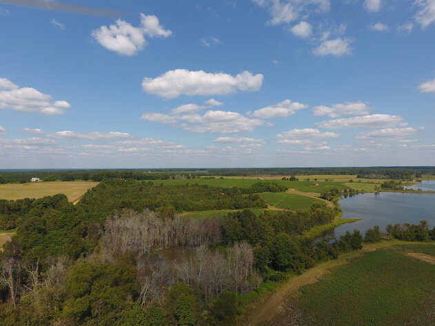 Image for LIVE AUCTION: Thursday, October 13, 2022 - Laurens County, GA