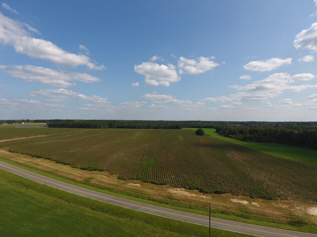 Image for LIVE AUCTION: Thursday, October 13, 2022 - Laurens County, GA