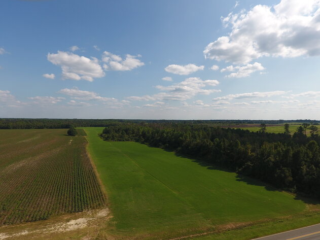 Image for LIVE AUCTION: Thursday, October 13, 2022 - Laurens County, GA