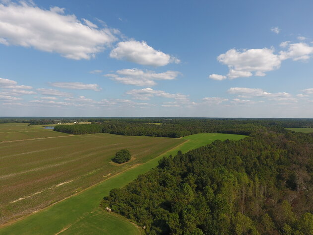 Image for LIVE AUCTION: Thursday, October 13, 2022 - Laurens County, GA