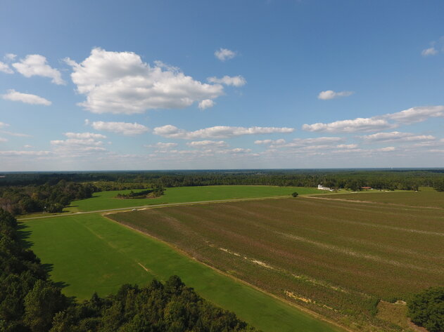 Image for LIVE AUCTION: Thursday, October 13, 2022 - Laurens County, GA