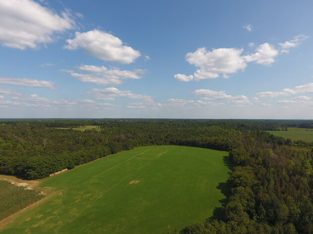 Image for LIVE AUCTION: Thursday, October 13, 2022 - Laurens County, GA