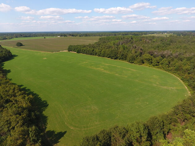 Image for LIVE AUCTION: Thursday, October 13, 2022 - Laurens County, GA