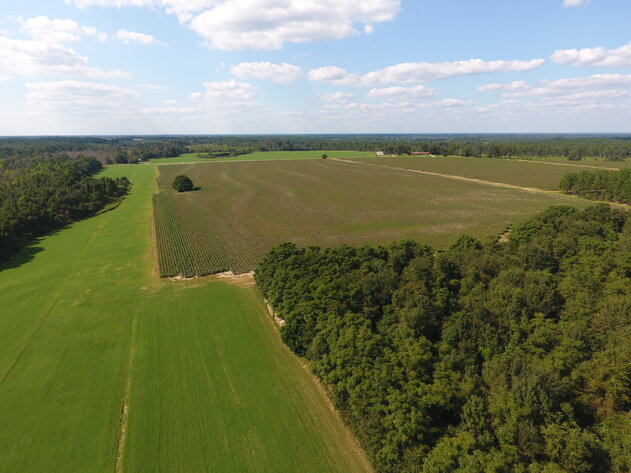 Image for LIVE AUCTION: Thursday, October 13, 2022 - Laurens County, GA